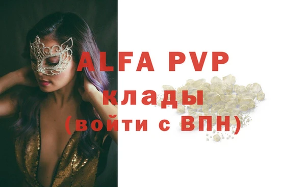 стафф Алзамай