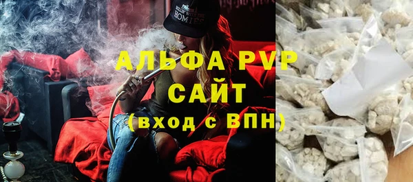 стафф Алзамай