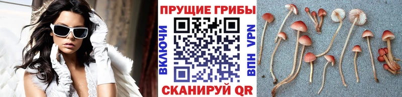 Галлюциногенные грибы ЛСД  купить  цена  Фёдоровский 